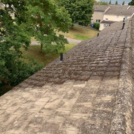 Our Moss Removal service will effectively and efficiently eliminate moss growth on your roof, sidings, and more. We use environmentally friendly methods to ensure the safety of your property and the surrounding environment.